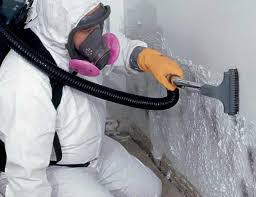 Mold Odor Removal Services in Huntington Station, NY